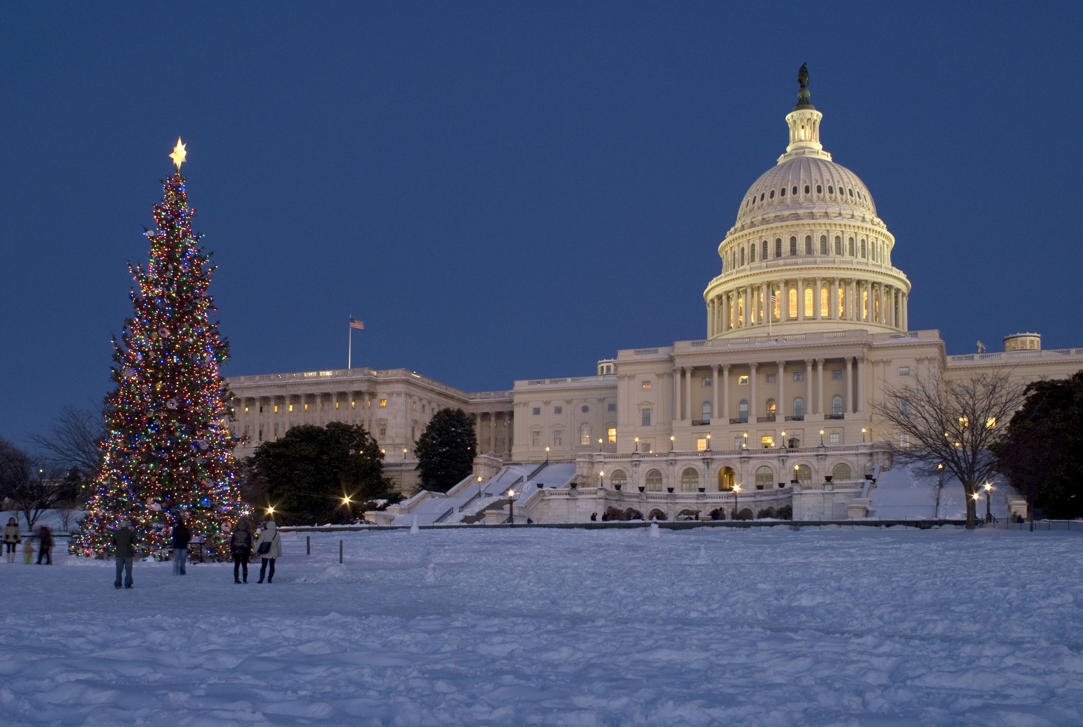 Capitol Christmas Tree FamousDC