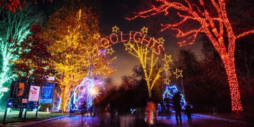 https://nationalzoo.si.edu/events/zoolights